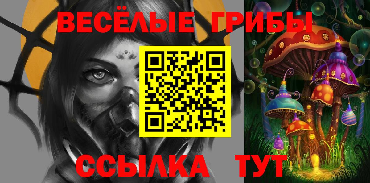 продажа наркотиков  Вход с VPN  Реж  Псилоцибиновые грибы GOLDEN TEACHER 
